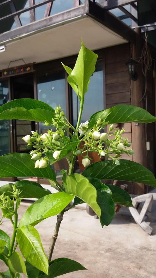 Baan Vallada Hotel Nakhonratchasima Esterno foto